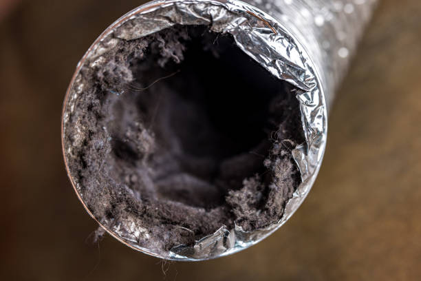 Air Duct Mold Removal in Odell, OR