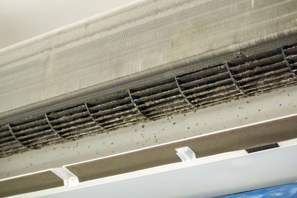 Best Affordable Air Duct Cleaning  in Odell, OR